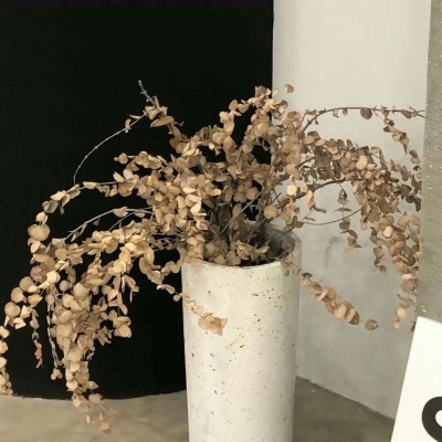 兽设设计灵感合集Furry群